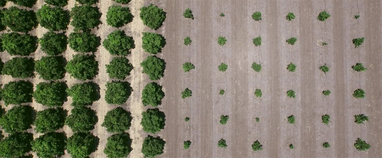 Documentaire over waterschaarste met prachtige droneshots Documentaire over waterschaarste met prachtige droneshots