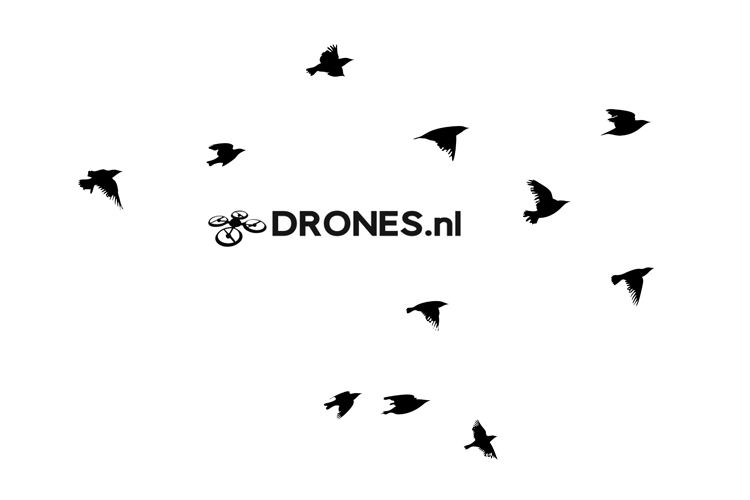 Drones helpen bedreigde weidevogels in Brabant Drones helpen bedreigde weidevogels in Brabant