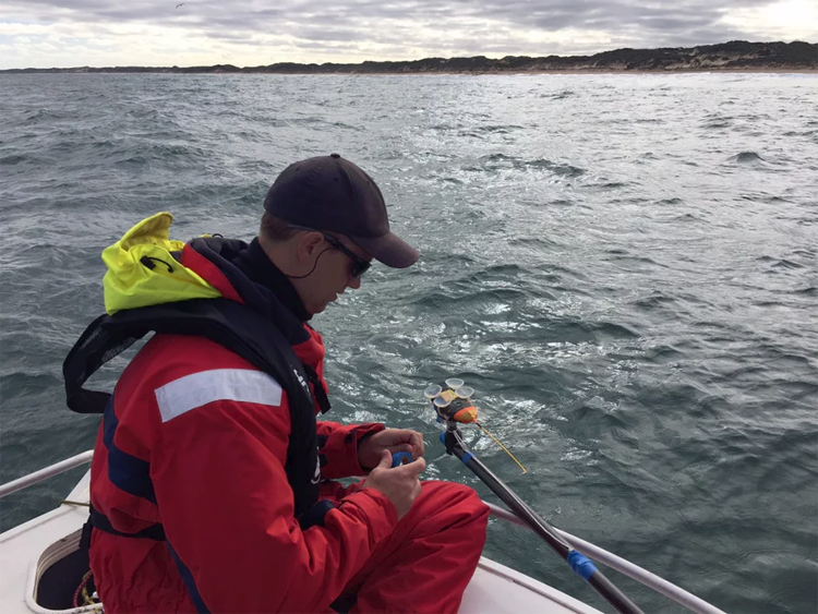 Drone filmt zeldzame beelden van witte baby walvis en moeder Drone filmt zeldzame beelden van witte baby walvis en moeder