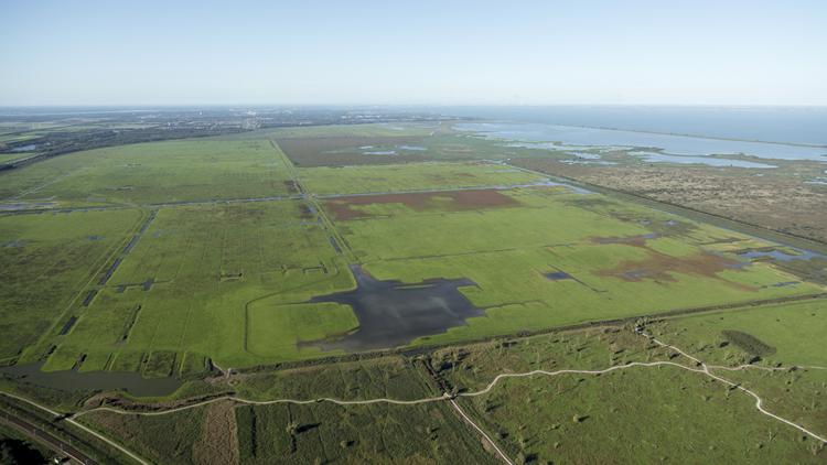 Dronepiloot uit Haarlem vrijgesproken van opjagen dieren met drone Dronepiloot uit Haarlem vrijgesproken van opjagen dieren met drone