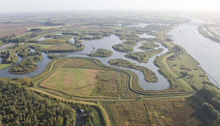 CDA wil Biesbosch beschermen tegen drugs met drones CDA wil Biesbosch beschermen tegen drugs met drones