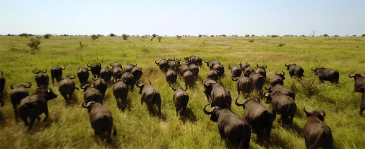 Prachtige luchtopnames Zuid-Afrika door DJI Mavic Pro