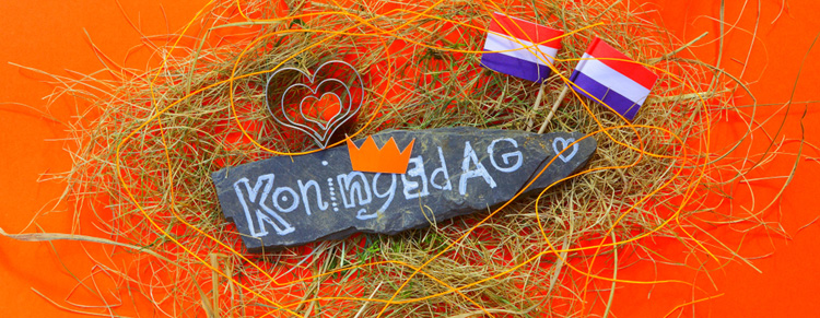 Koninklijke familie en drones tijdens Koningsdag 2018 in Groningen Koninklijke familie en drones tijdens Koningsdag 2018 in Groningen