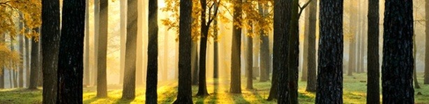 08-ontwijk-obstakels-action-sports-drone 08-ontwijk-obstakels-action-sports-drone