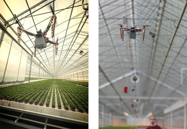 applied-drone-innovations-research-development-drones-greenhouses-holland applied-drone-innovations-research-development-drones-greenhouses-holland