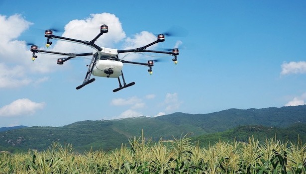 dji-agras-landbouw-gewassen dji-agras-landbouw-gewassen