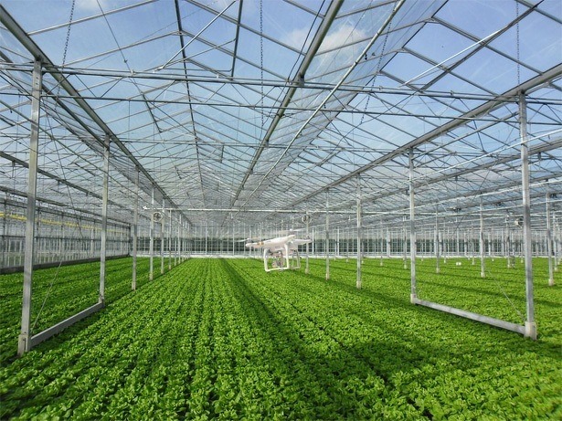 drone-kas-inholland-studenten-luchtvaarttechnologie-tuinbouw-agribusiness-2015 drone-kas-inholland-studenten-luchtvaarttechnologie-tuinbouw-agribusiness-2015