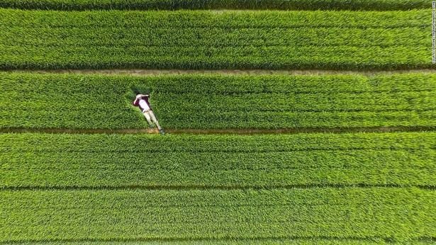 dronestagram-grass-xiwei-reservoir-china dronestagram-grass-xiwei-reservoir-china
