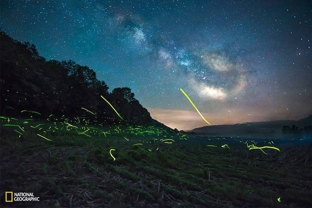national-geographic-photo-contest-2015-adam-dorn national-geographic-photo-contest-2015-adam-dorn