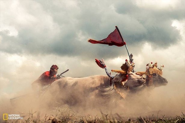 national-geographic-photo-contest-2015-bram-paulussen national-geographic-photo-contest-2015-bram-paulussen