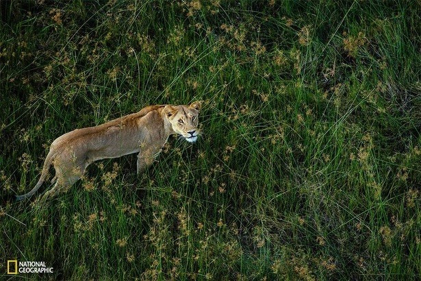 national-geographic-photo-contest-2015-chris-schmid national-geographic-photo-contest-2015-chris-schmid