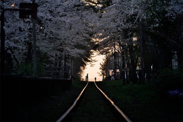 national-geographic-photo-contest-2015-sho-shibata national-geographic-photo-contest-2015-sho-shibata