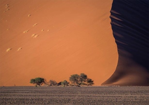 national-geographic-photo-contest-2015-stas-bartnikas national-geographic-photo-contest-2015-stas-bartnikas
