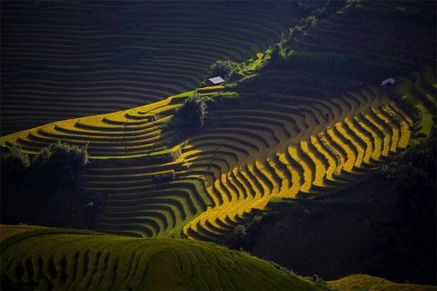 national-geographic-photo-contest-2015-surawut-sudha national-geographic-photo-contest-2015-surawut-sudha