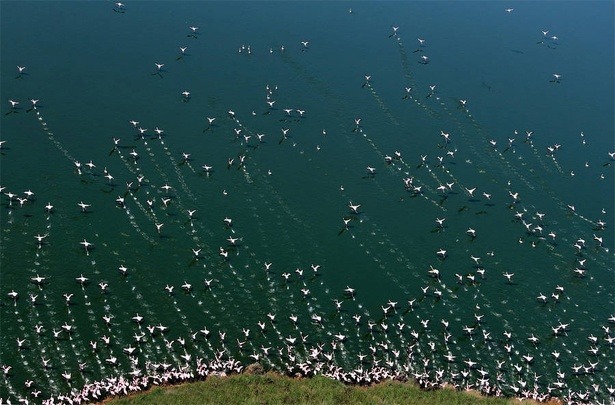 national-geographic-photo-contest-2015-yu-huiping national-geographic-photo-contest-2015-yu-huiping