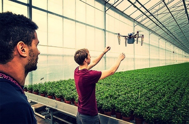 onderzoekers-drones-in-kassen-gewassen onderzoekers-drones-in-kassen-gewassen