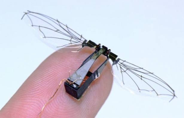 robobees-harvard-drones-microdrone-nasa-bijen-nar-mannetjesbij-bestuiven-bloemen-vinger robobees-harvard-drones-microdrone-nasa-bijen-nar-mannetjesbij-bestuiven-bloemen-vinger
