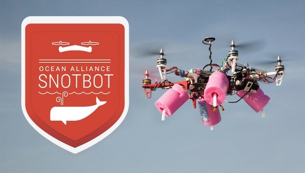 snotbot-walvis-onderzoek snotbot-walvis-onderzoek