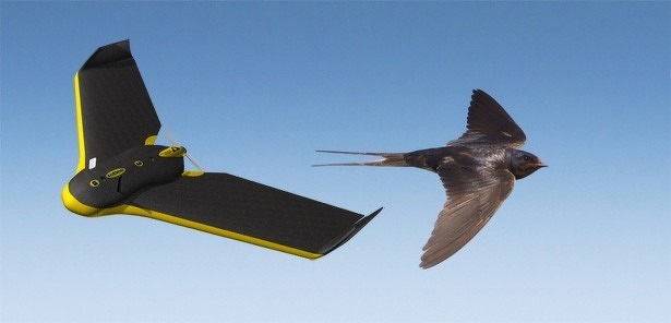 vogel-drone-ebee-detectiesysteem-thales-faa-2015 vogel-drone-ebee-detectiesysteem-thales-faa-2015