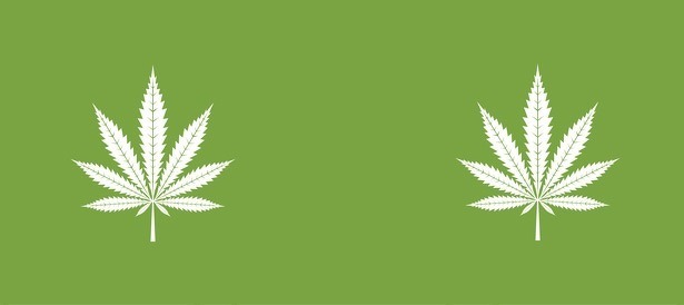 wiet-plant-logo-cannabis-quadcopter-drone-gelderland-collin-ernst-mais-veld-2015 wiet-plant-logo-cannabis-quadcopter-drone-gelderland-collin-ernst-mais-veld-2015